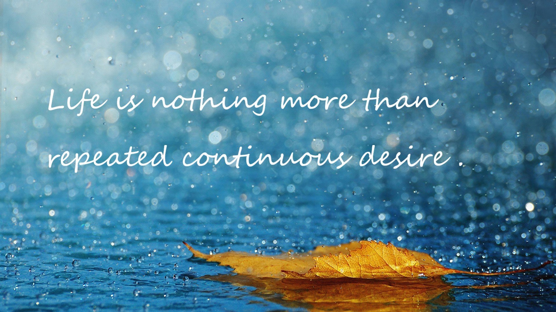 山东泰山老将再立奇功稳定军心，济南泰山将军1996名单