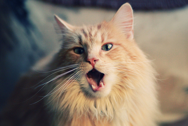 开云体育官方下载-《【幕后故事】职业选手训练秘籍揭秘》，职业选手背后的艰辛