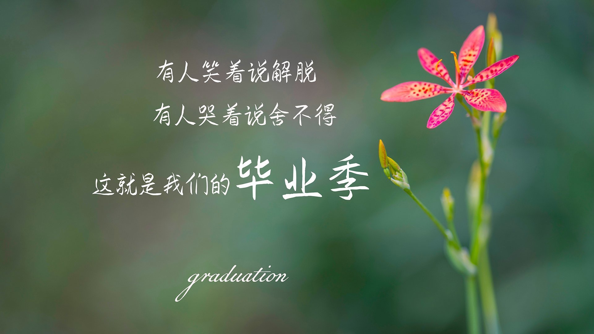 《顶级战队经理揭秘:打造冠军战队的幕后故事》,顶尖战队