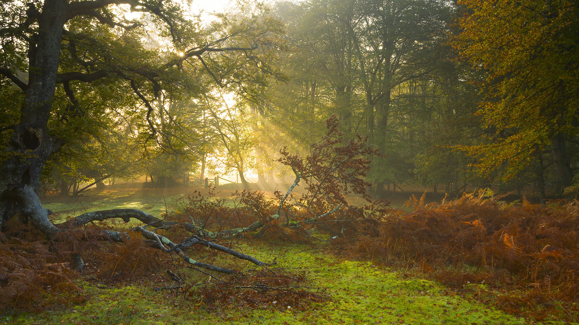 开云综合服务-中超转播权大动作，海外市场全面展开，中超转播权 80亿