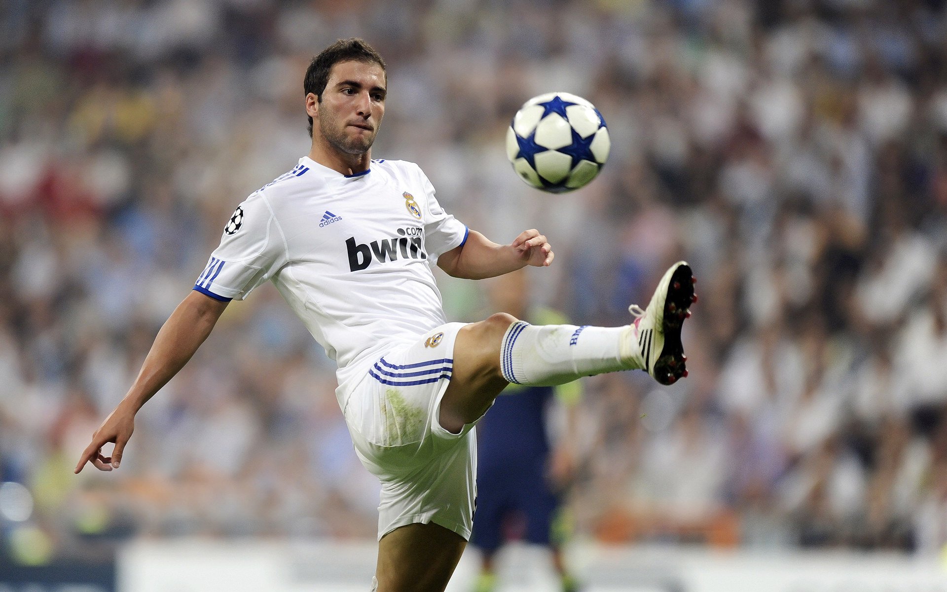 开云体育开云-贝尔哈德·福特：稳固防线和突破进攻的全能球员，贝尔福特老婆